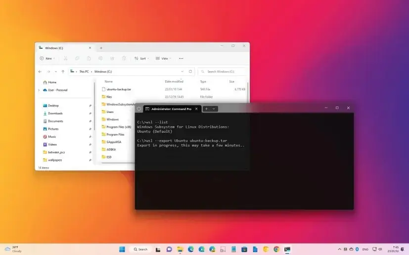 wsl backup